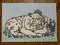 cow-hug-a5-poor-quality-photo